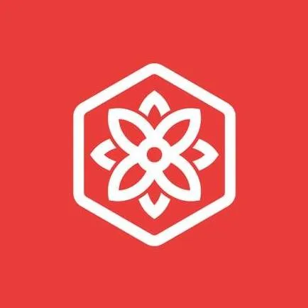 bloomsybox-logo-square