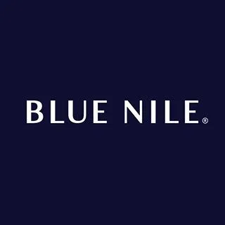 blue nile logo
