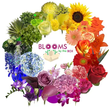 BloomsByTheBoxFlowerColorWh