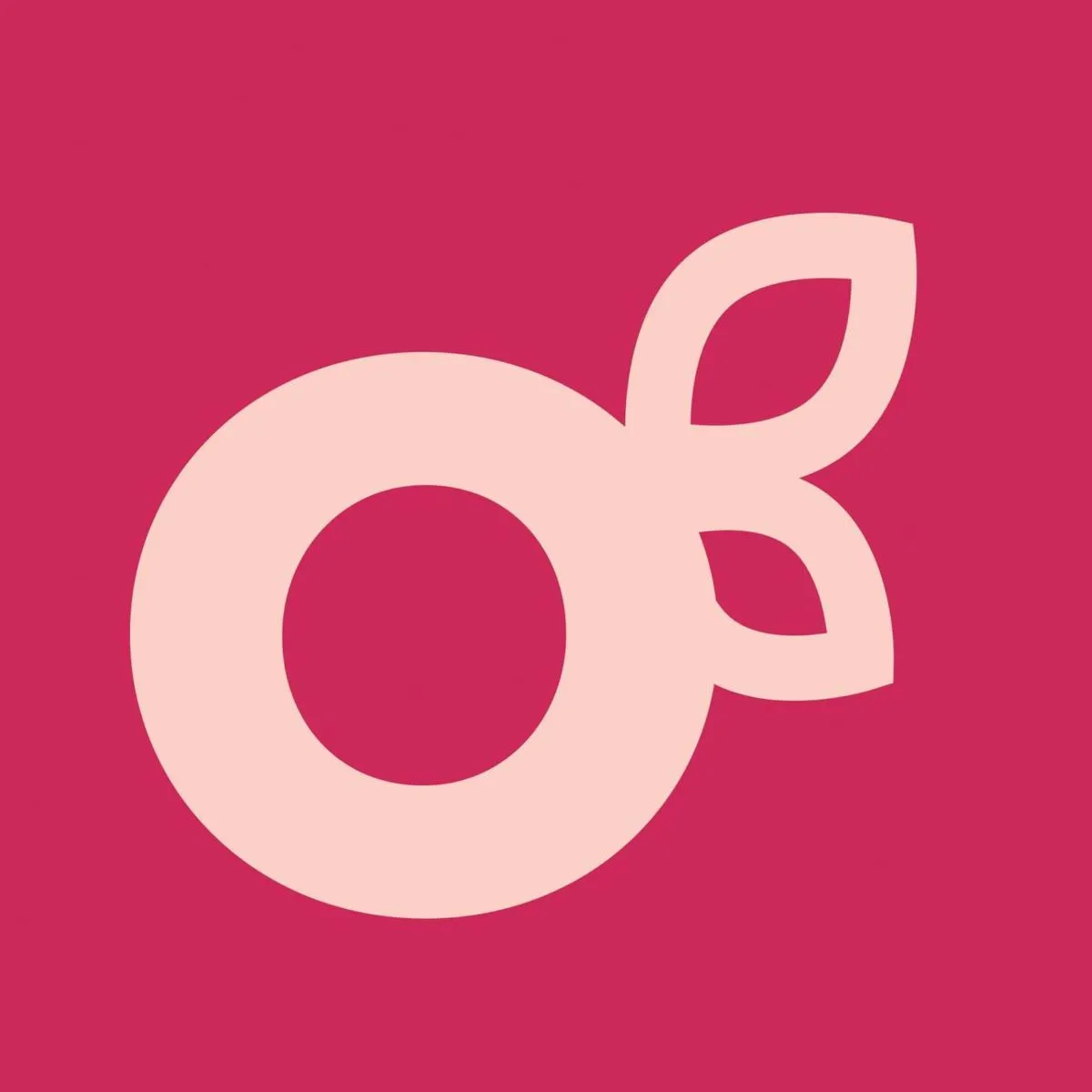 bloom culture flowers