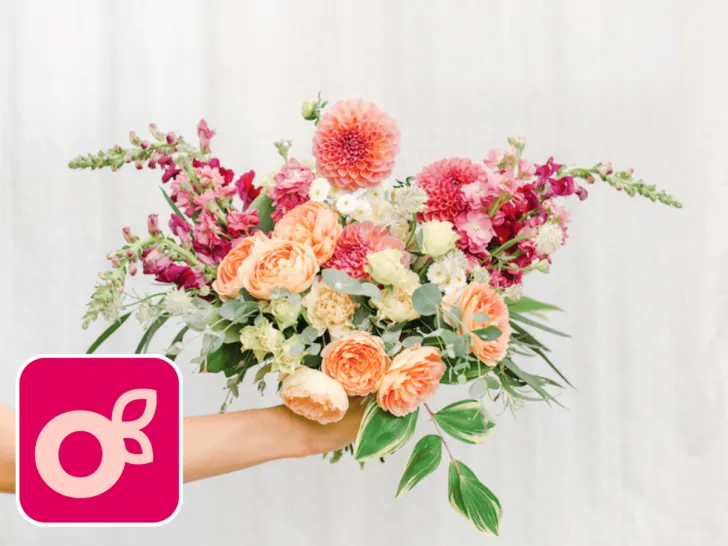 Bloom Culture Flowers - Where to Buy Bulk Wedding Flowers Online