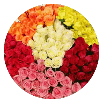 costco- bulk flowers for weddings