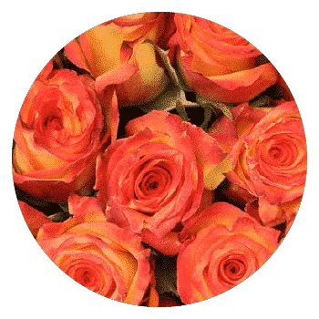 samsclub- bulk flowers for weddings