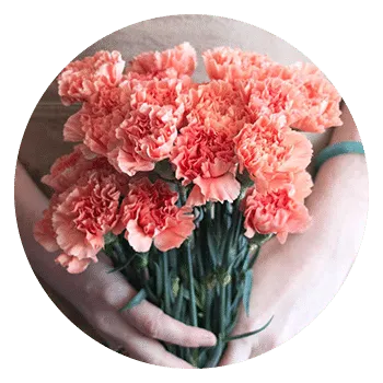 flowermoxie-- bulk flowers for weddings