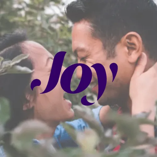 joy wedding registry