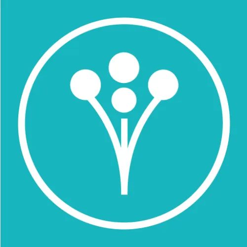 wedding wire wedding registry