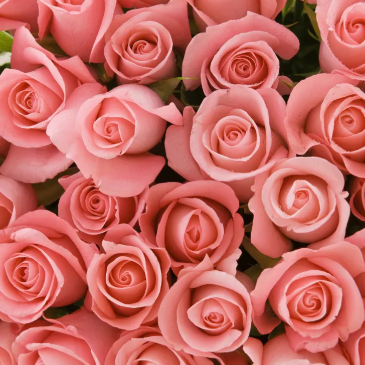 money saving flower advice weddings